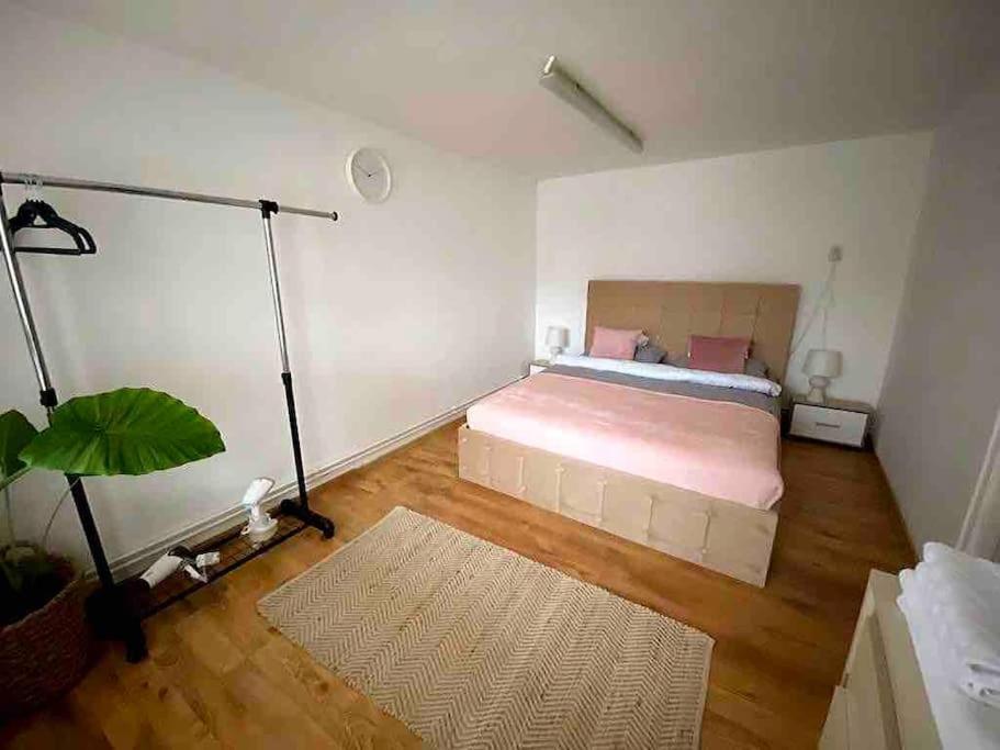 House Apartment In Timisoara Exterior photo
